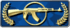 Player Rank