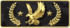 Player Rank